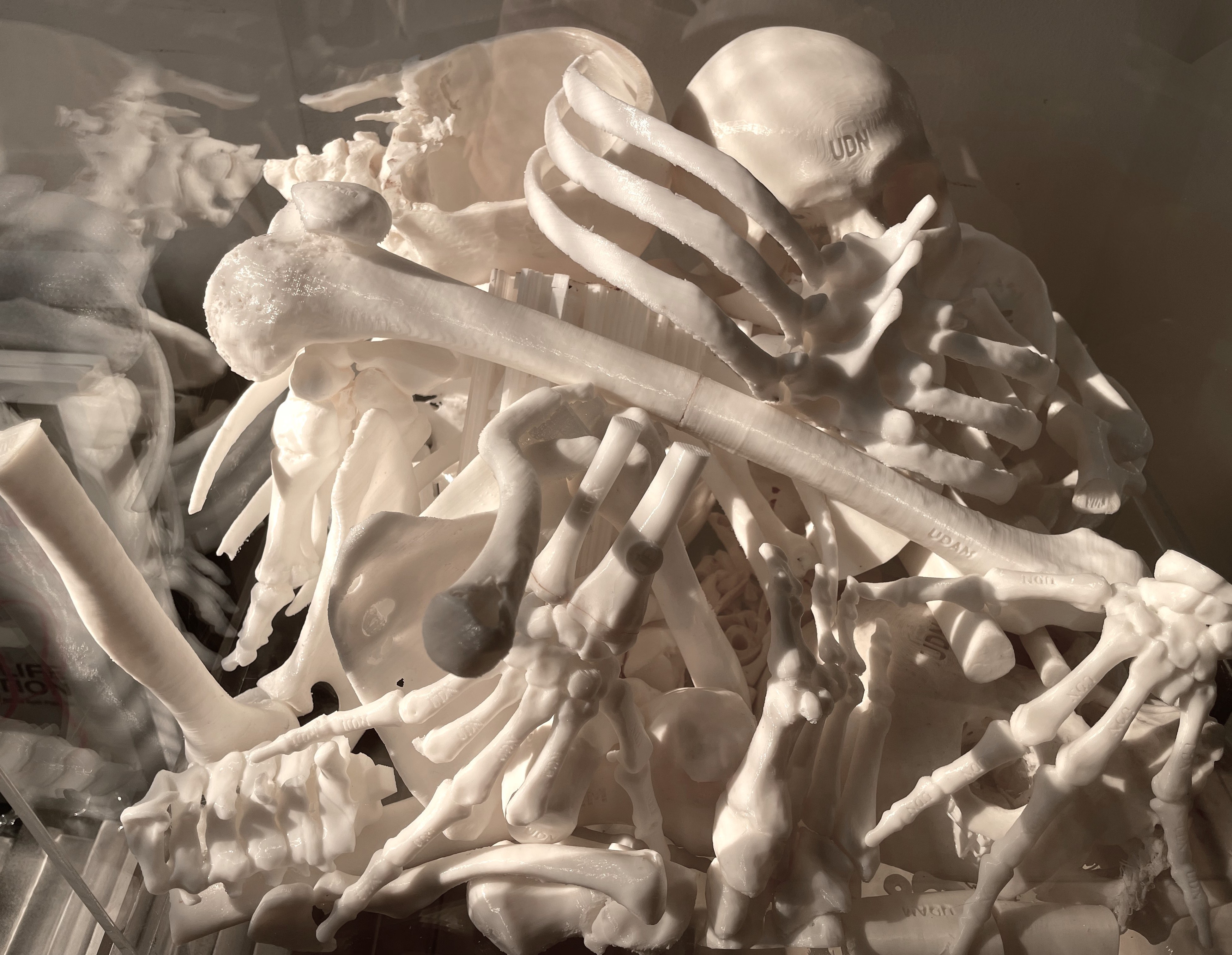 Digital Body Print detail 2